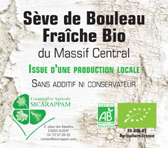 Sève de Bouleau fraîche 🌱, biologique, 🍃 et locale ☀️ 