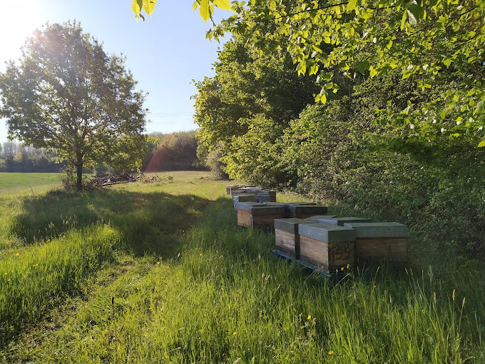 GAEC Noir d'Abeilles GAEC Noir d'Abeilles