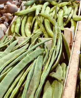 436-biocoop-lempdes-fruits-et-legumes-003.webp