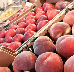 436-biocoop-lempdes-fruits-et-legumes-015.webp