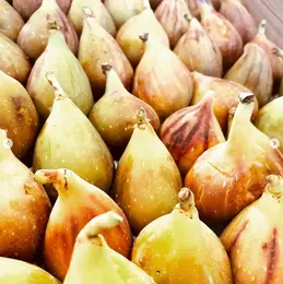 436-biocoop-lempdes-fruits-et-legumes-016.webp