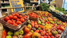 436-biocoop-lempdes-tomate-france-local.webp