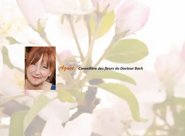 Atelier Fleurs de Bach avec Agnès
