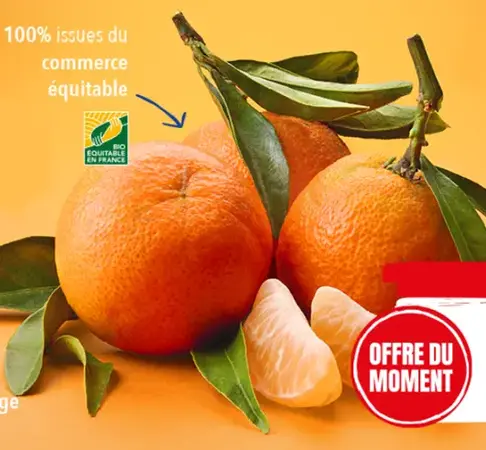 🍊🍊🍊 Offre sur nos clémentines de Corse 🍊🍊🍊