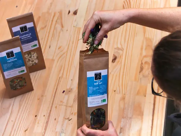 Animation et dégustation tisanes locales Contretemps